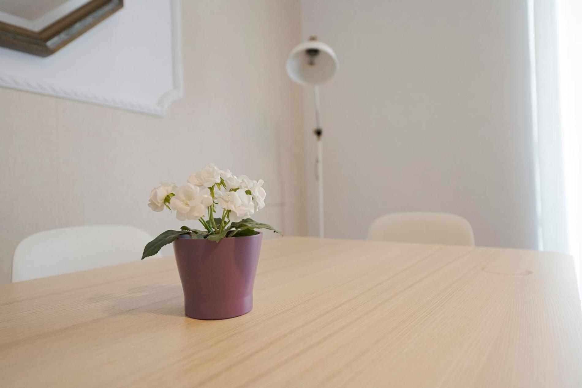 Apartamento Victoria En El Centro De San Sebastián Eksteriør billede